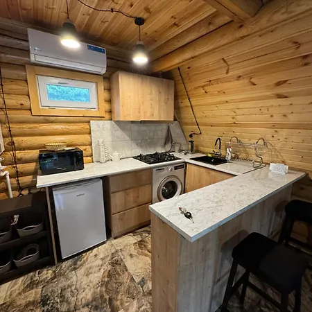 Eco Cottage In Borjomi With Pool 3 Exterior photo